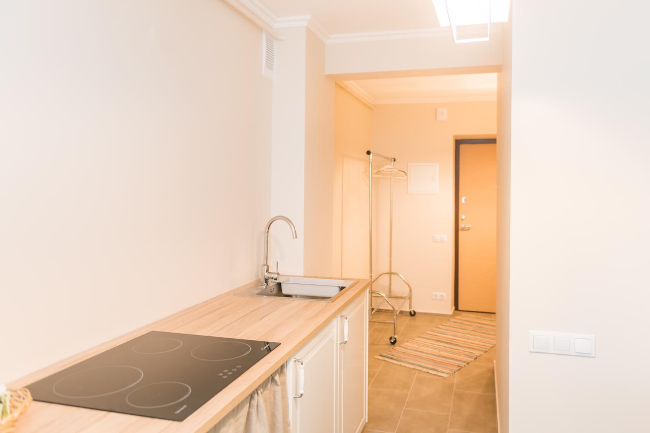Cozy Apartment In Cēsis Екстериор снимка